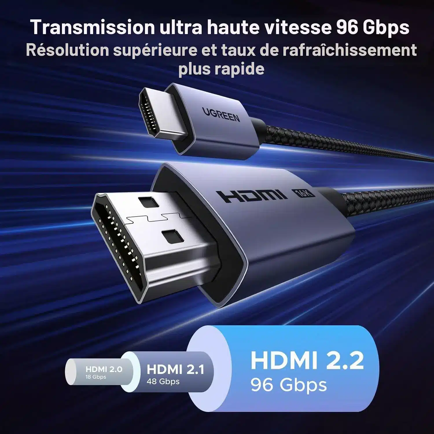 conseil guide noixdecitron hdmi 2.2 écran PC HDR 4K 8K QHD 1000 Hz 500 Hz competitif FPS valorant counter strike ROG MSI Aorus cable connectique futur